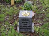 image of grave number 807561